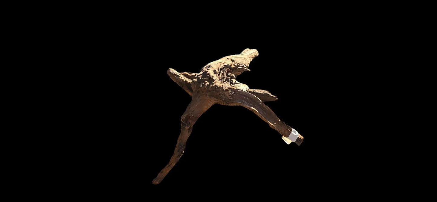 Drift Wood - 53*41*52 - cod.019 AQPET