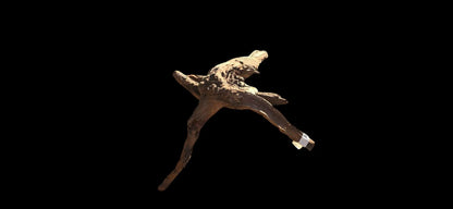 Drift Wood - 53*41*52 - cod.019 AQPET