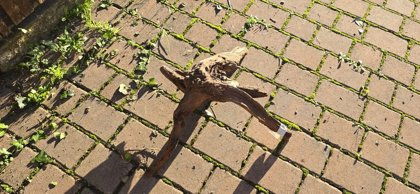 Drift Wood - 53*41*52 - cod.019 AQPET