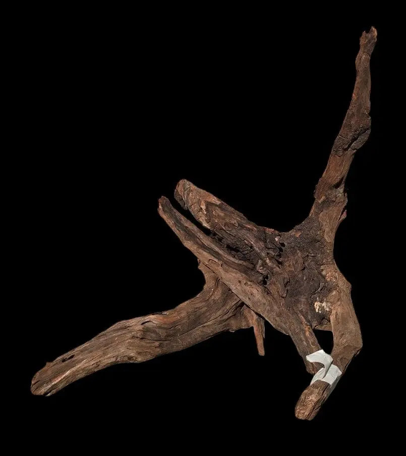 Drift Wood - 53*41*52 - cod.019 AQPET