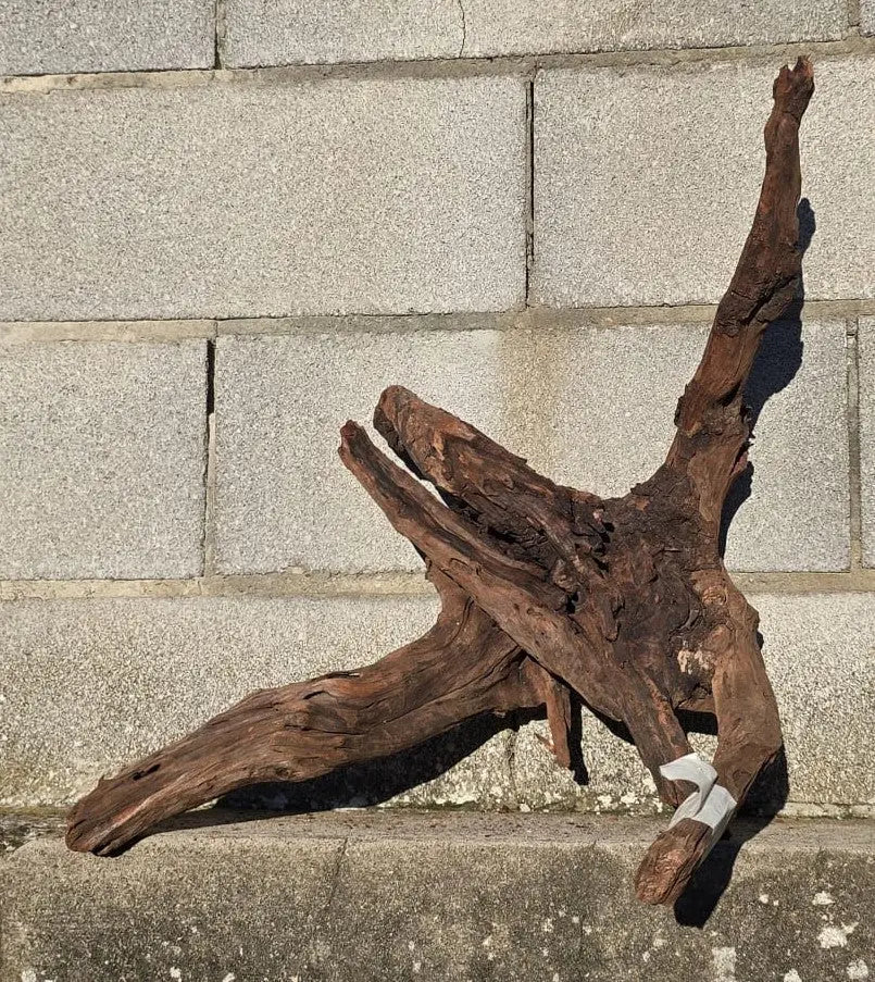 Drift Wood - 53*41*52 - cod.019 AQPET