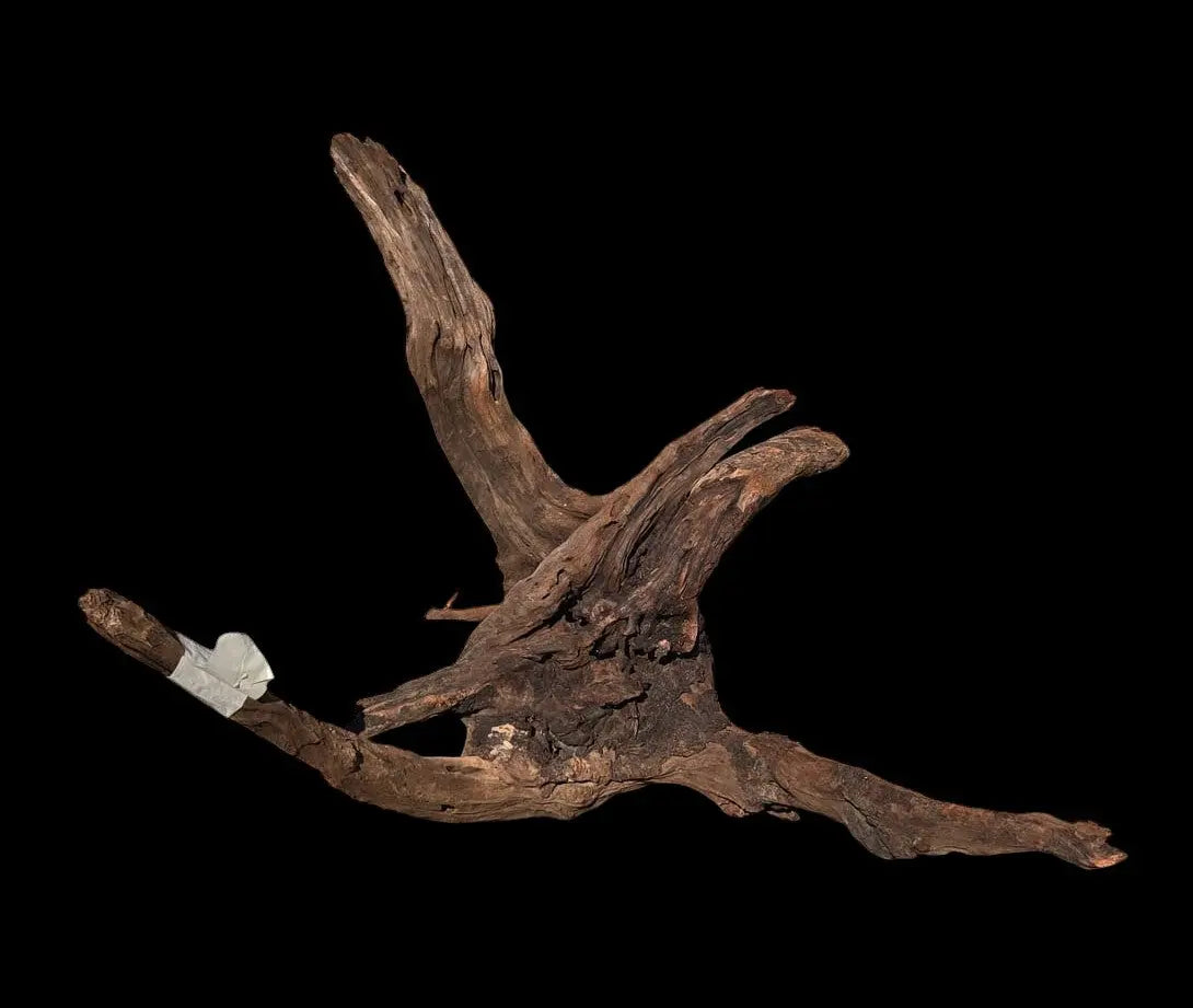 Drift Wood - 53*41*52 - cod.019 AQPET