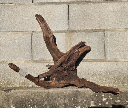 Drift Wood - 53*41*52 - cod.019 AQPET