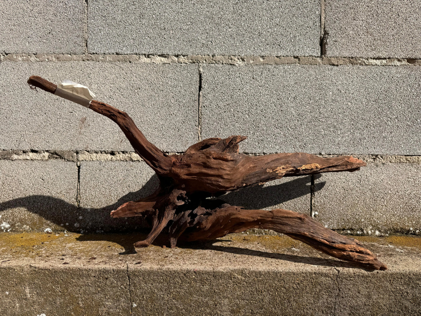 Drift Wood - 57*22*28 - cod.025 AQPET