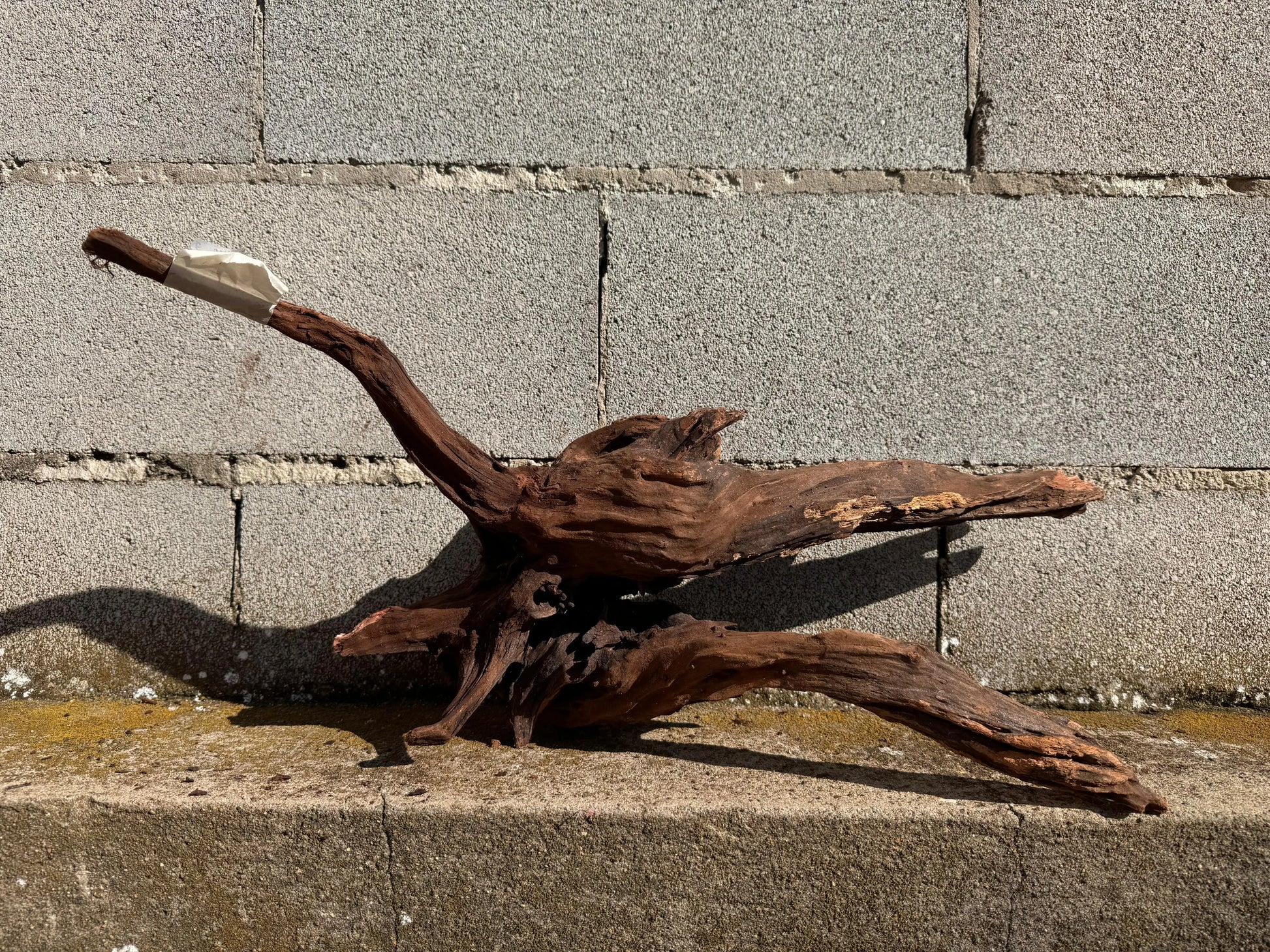 Drift Wood - 57*22*28 - cod.025 AQPET