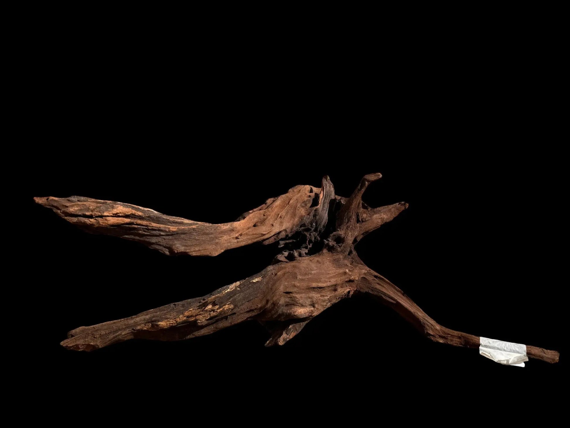 Drift Wood - 57*22*28 - cod.025 AQPET
