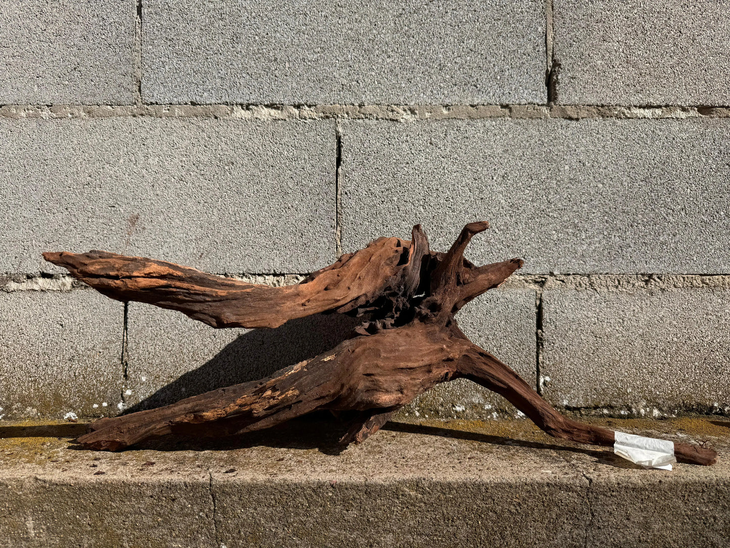 Drift Wood - 57*22*28 - cod.025 AQPET