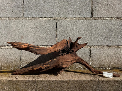 Drift Wood - 57*22*28 - cod.025 AQPET