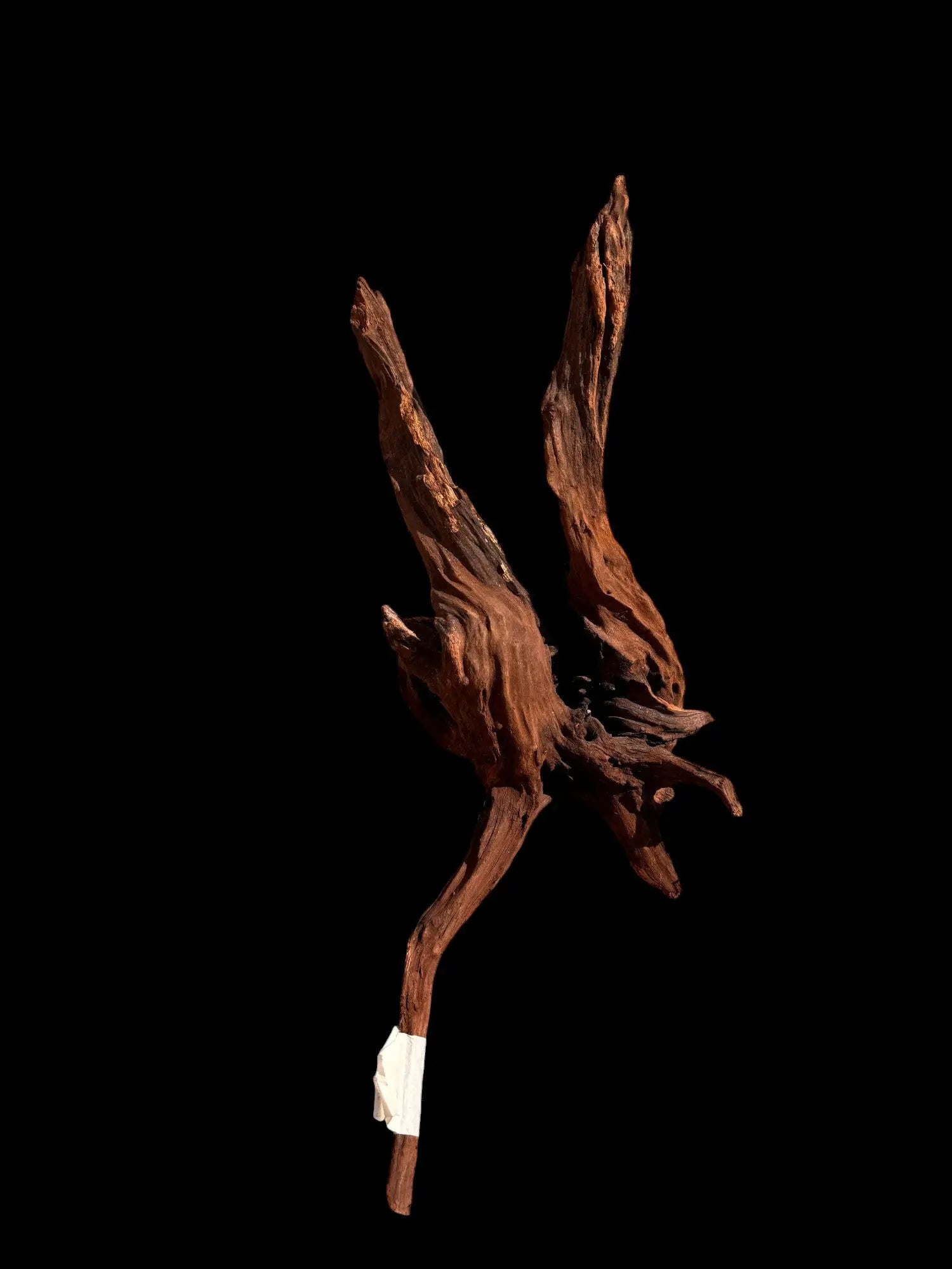 Drift Wood - 57*22*28 - cod.025 AQPET
