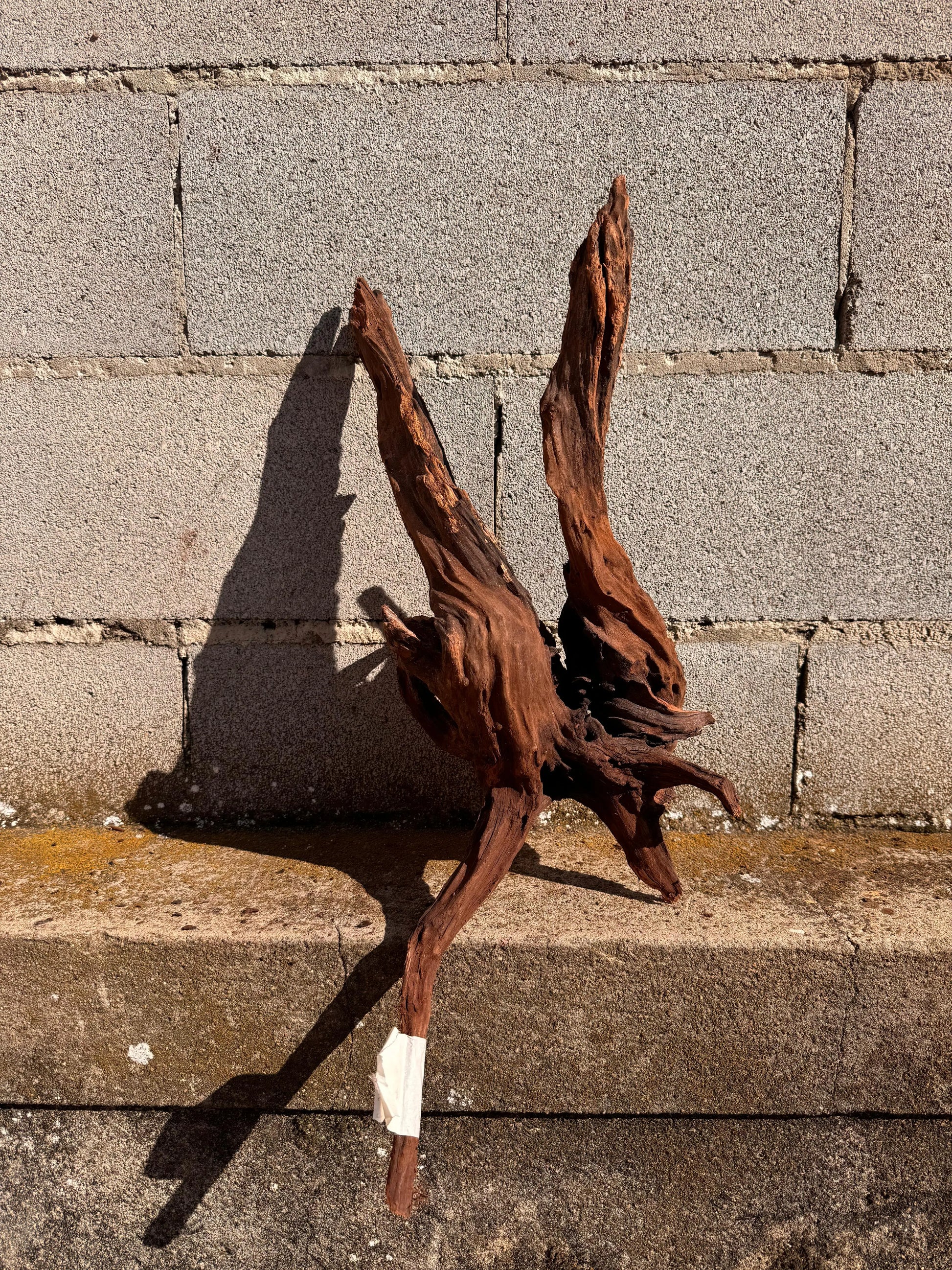 Drift Wood - 57*22*28 - cod.025 AQPET