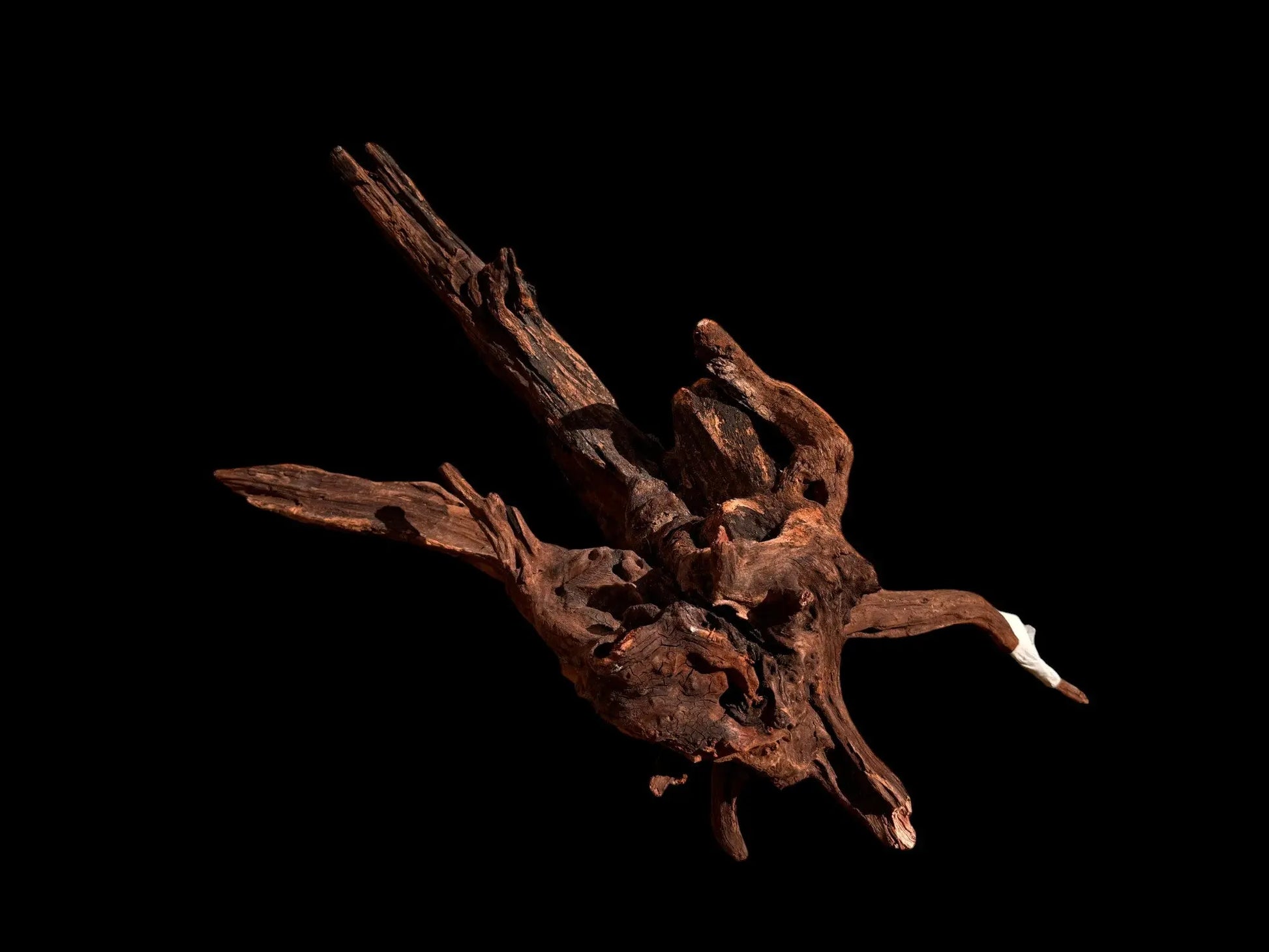 Drift Wood - 57*22*28 - cod.025 AQPET