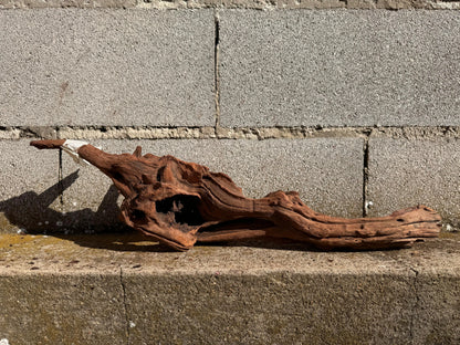Drift Wood - 54*12*15 - cod.026 AQPET