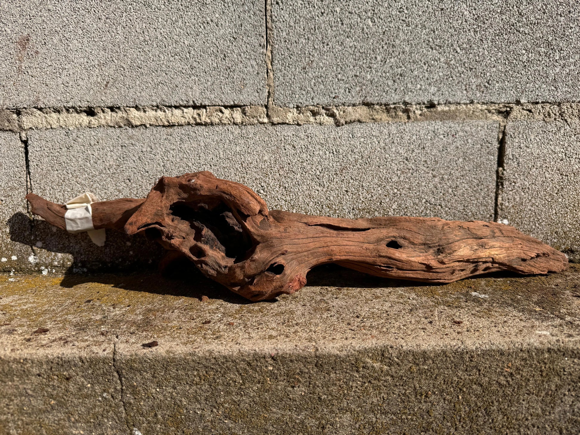 Drift Wood - 54*12*15 - cod.026 AQPET