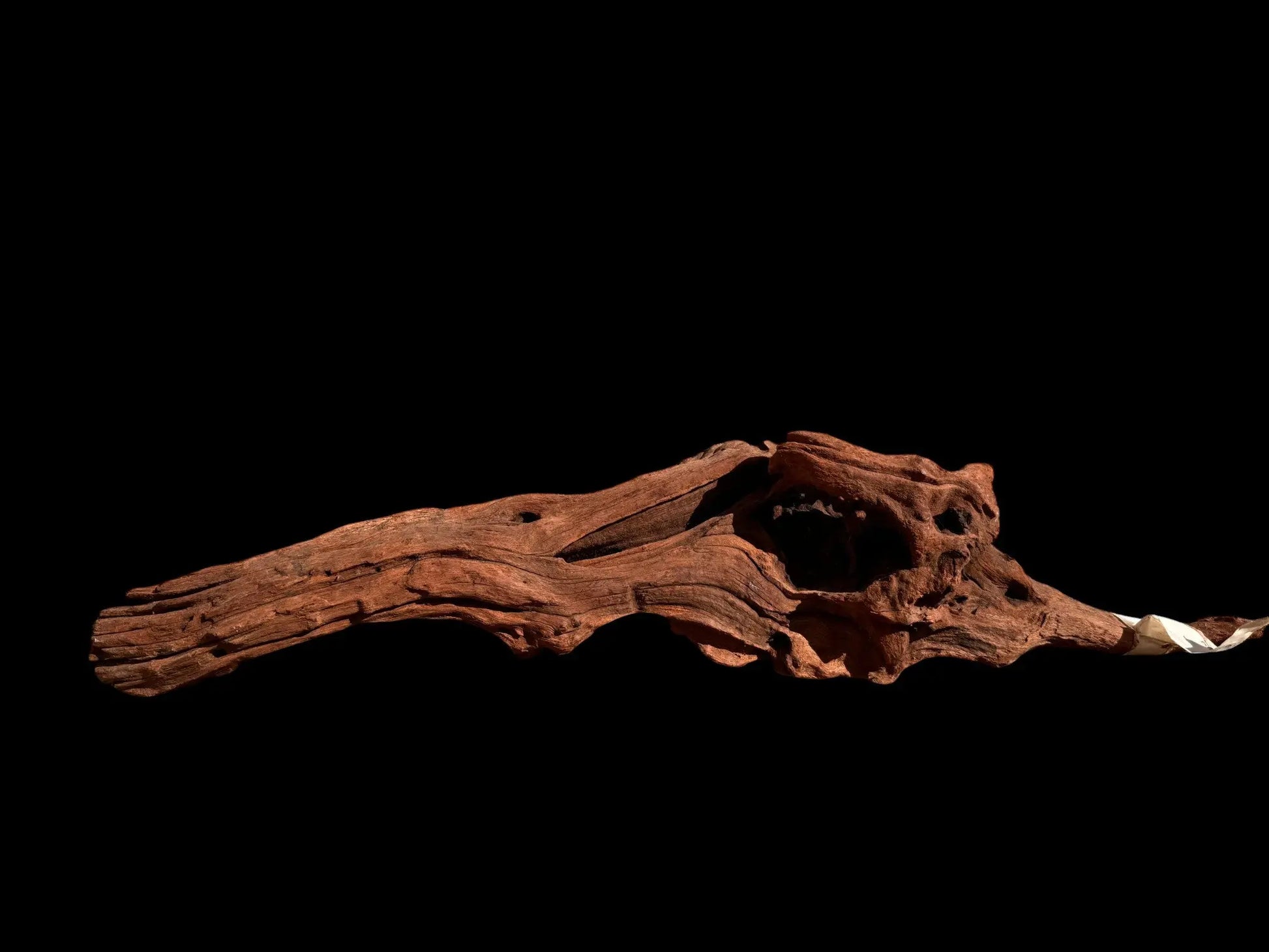 Drift Wood - 54*12*15 - cod.026 AQPET