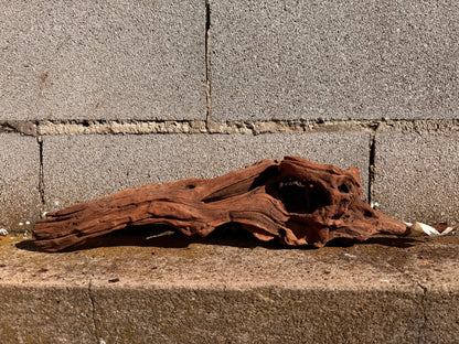 Drift Wood - 54*12*15 - cod.026 AQPET