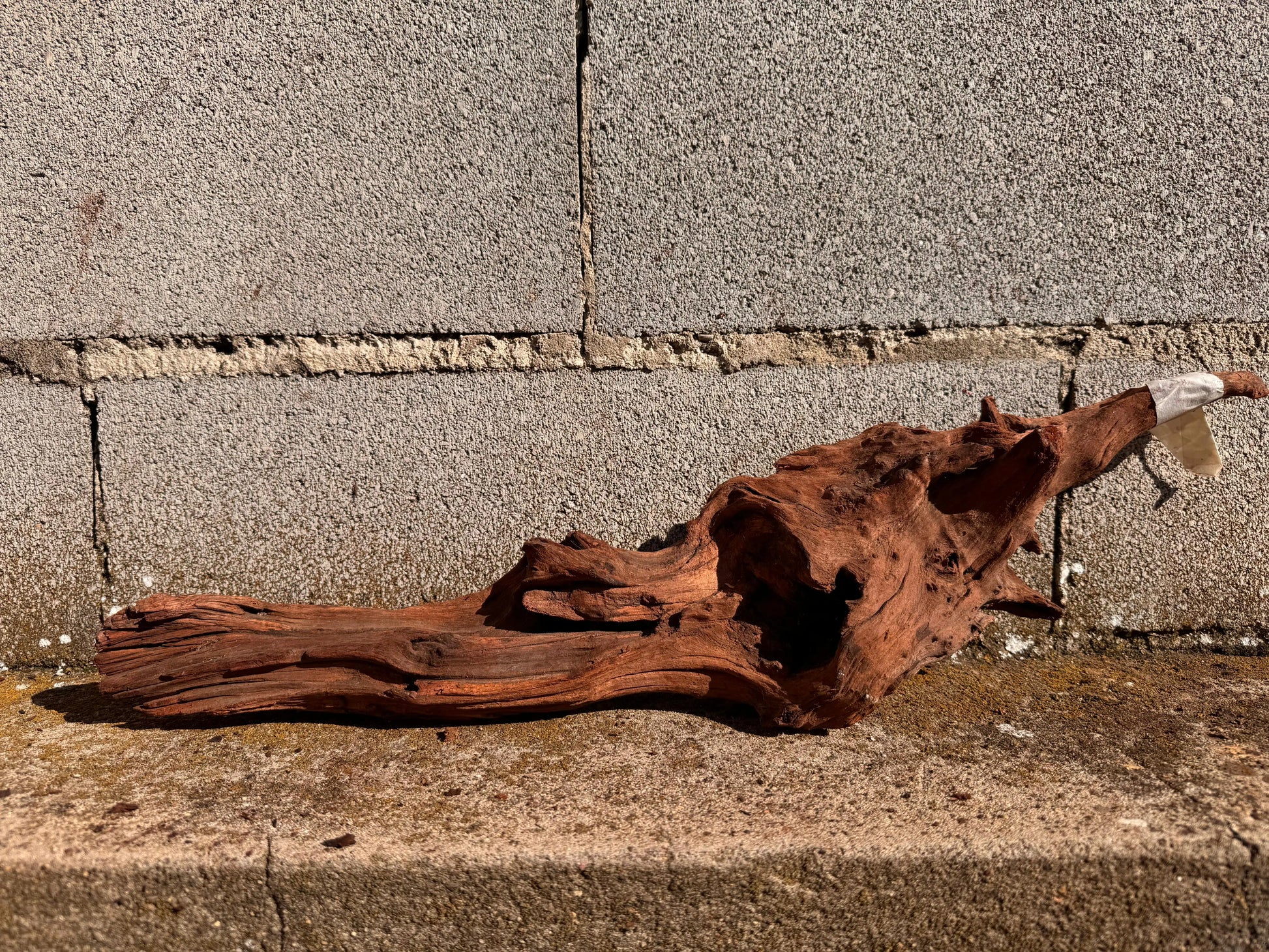 Drift Wood - 54*12*15 - cod.026 AQPET