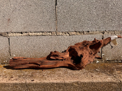 Drift Wood - 54*12*15 - cod.026 AQPET