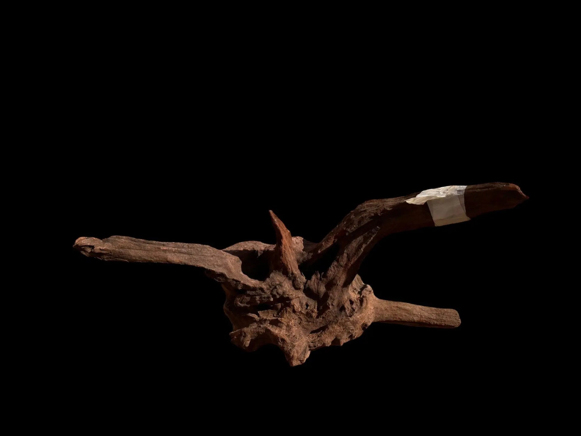 Drift Wood - 42*23*20 - cod.028 AQPET