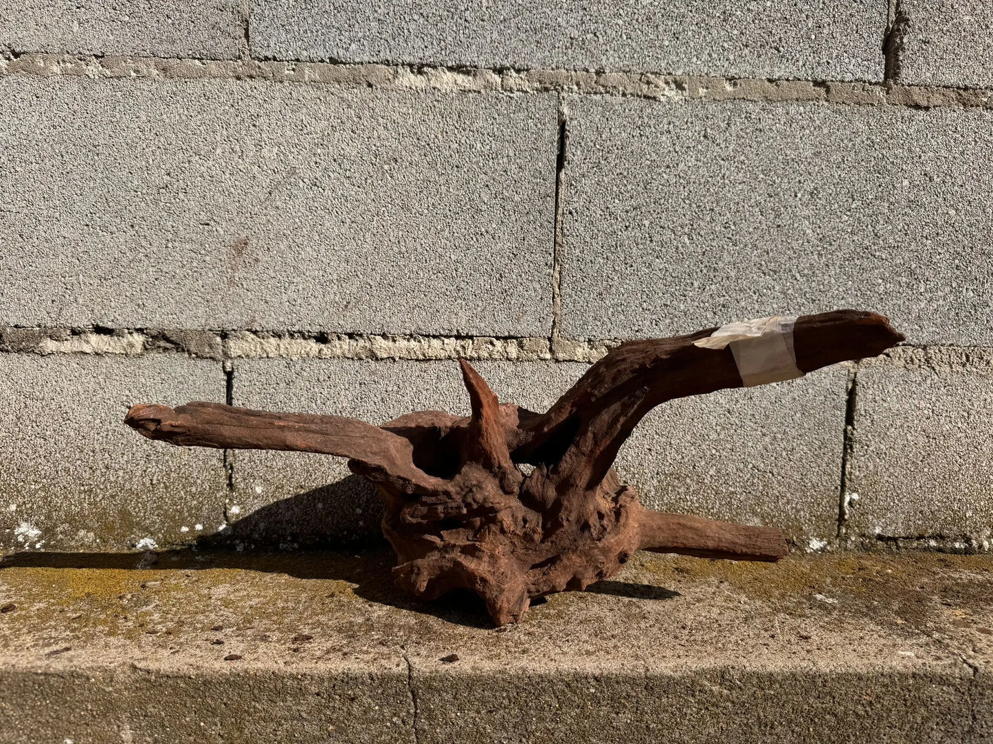 Drift Wood - 42*23*20 - cod.028 AQPET