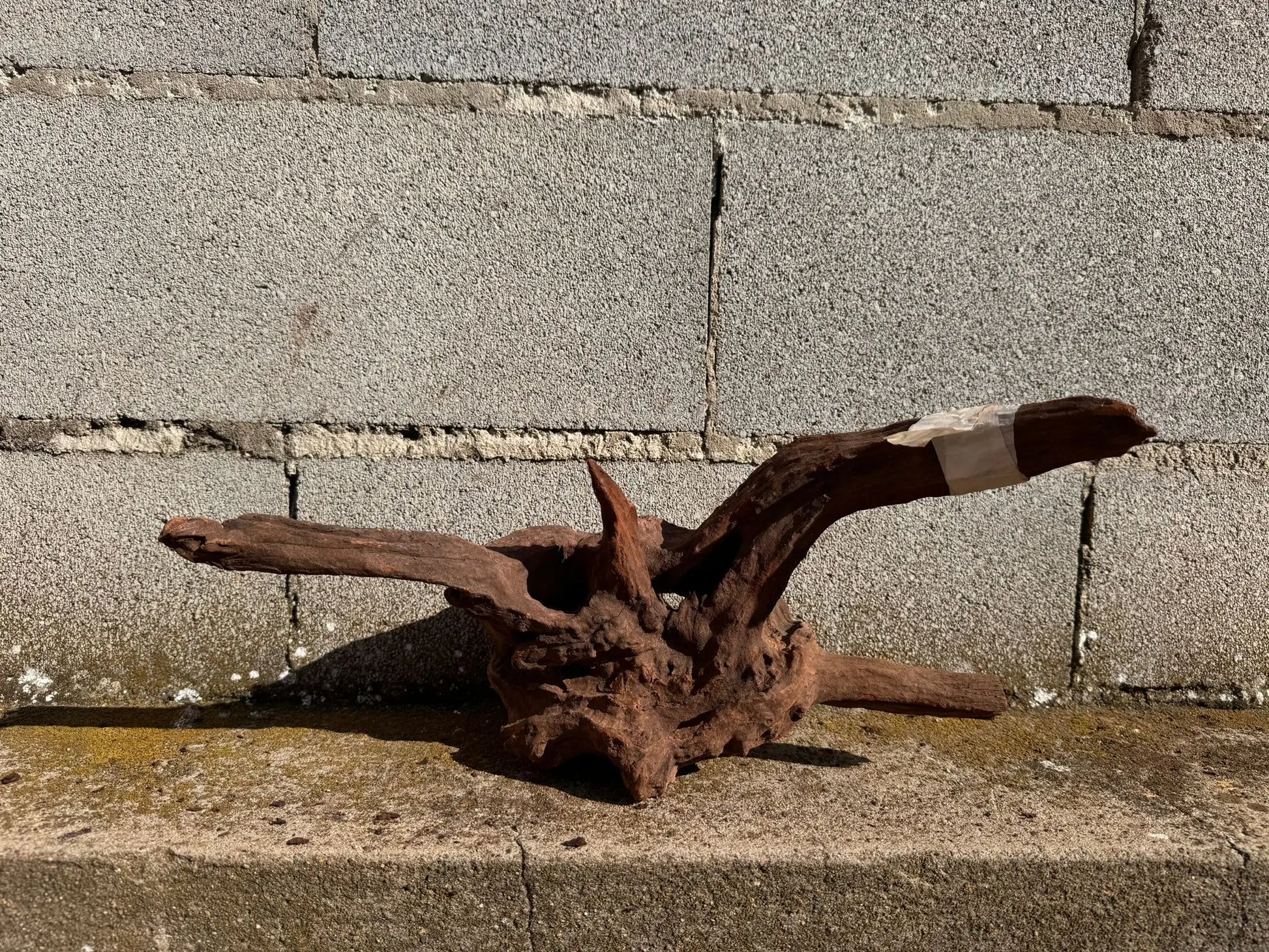 Drift Wood - 42*23*20 - cod.028 AQPET