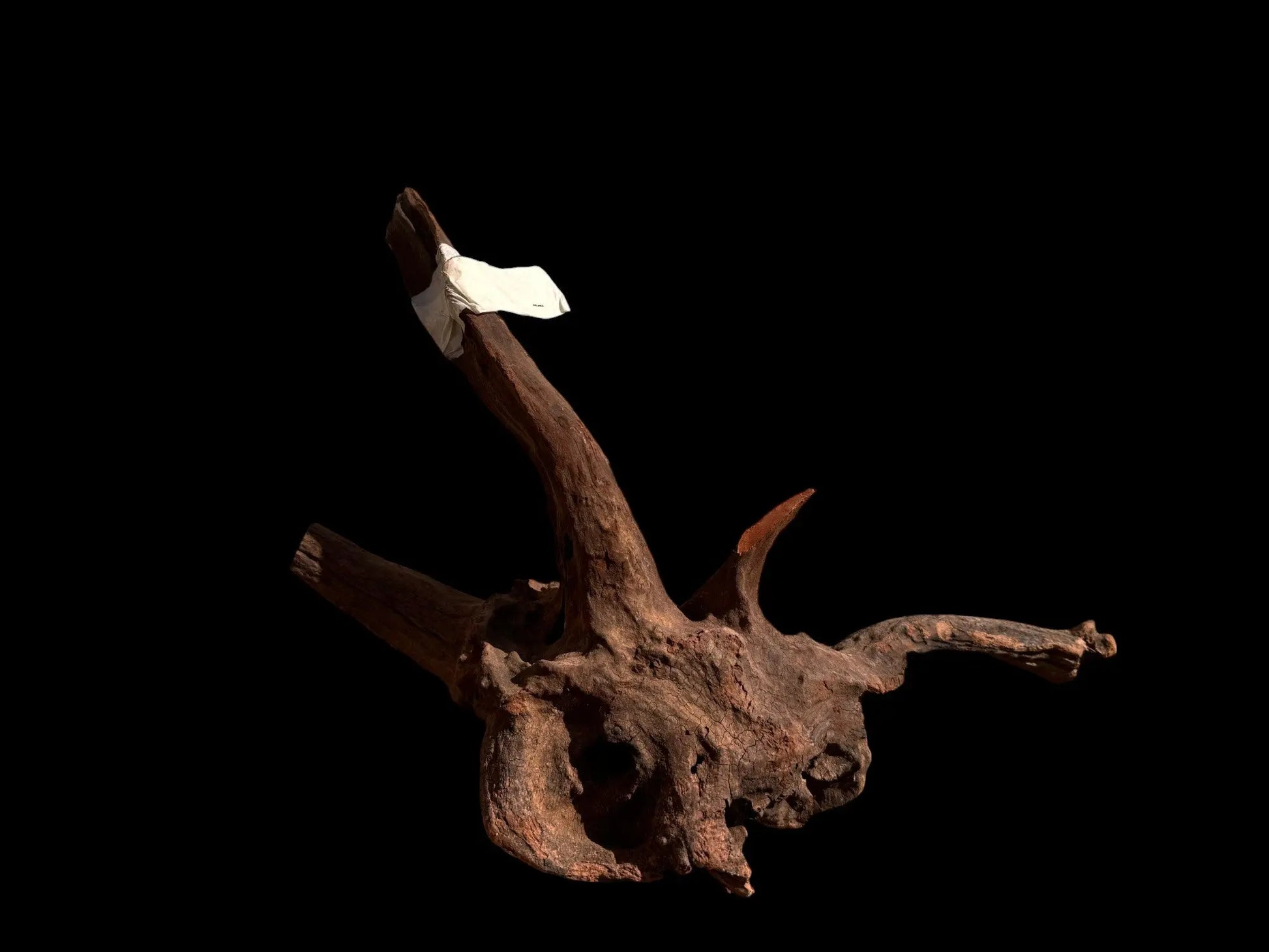 Drift Wood - 42*23*20 - cod.028 AQPET