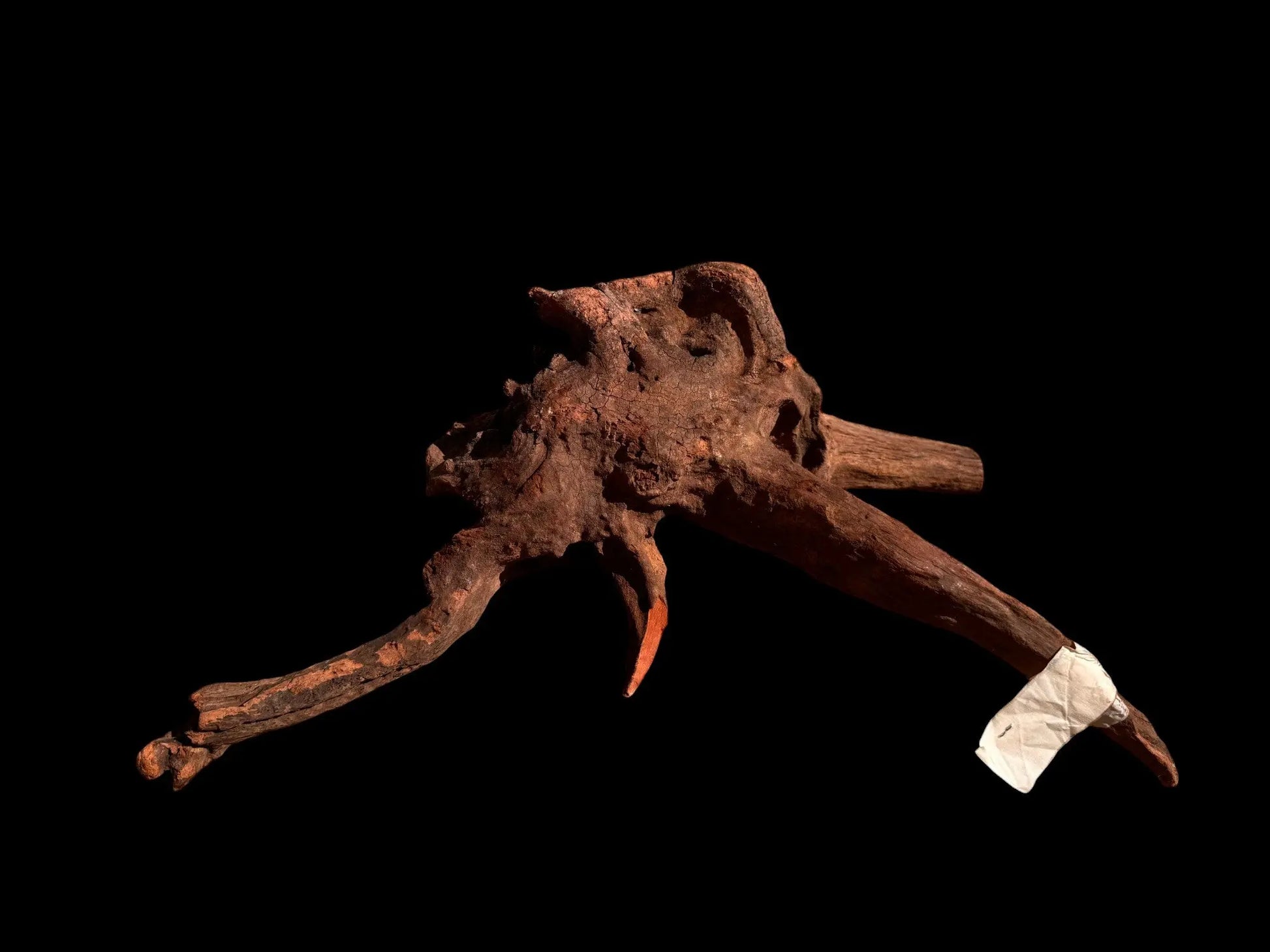 Drift Wood - 42*23*20 - cod.028 AQPET