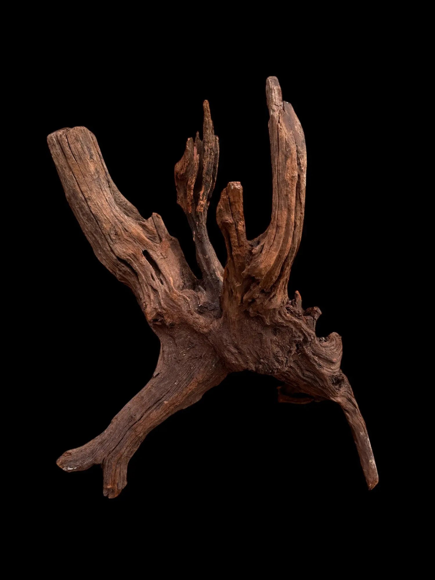 Drift Wood - 57*24*39 - cod.030 AQPET