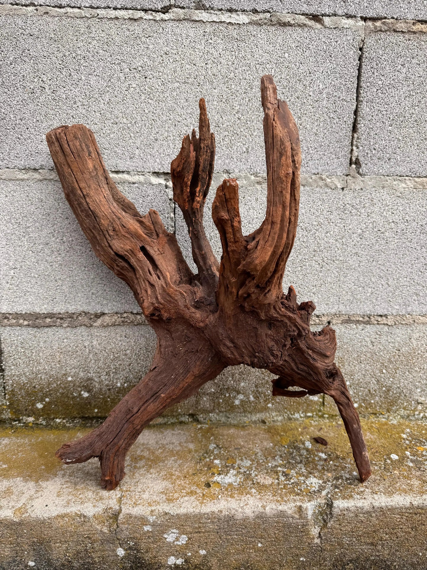 Drift Wood - 57*24*39 - cod.030 AQPET