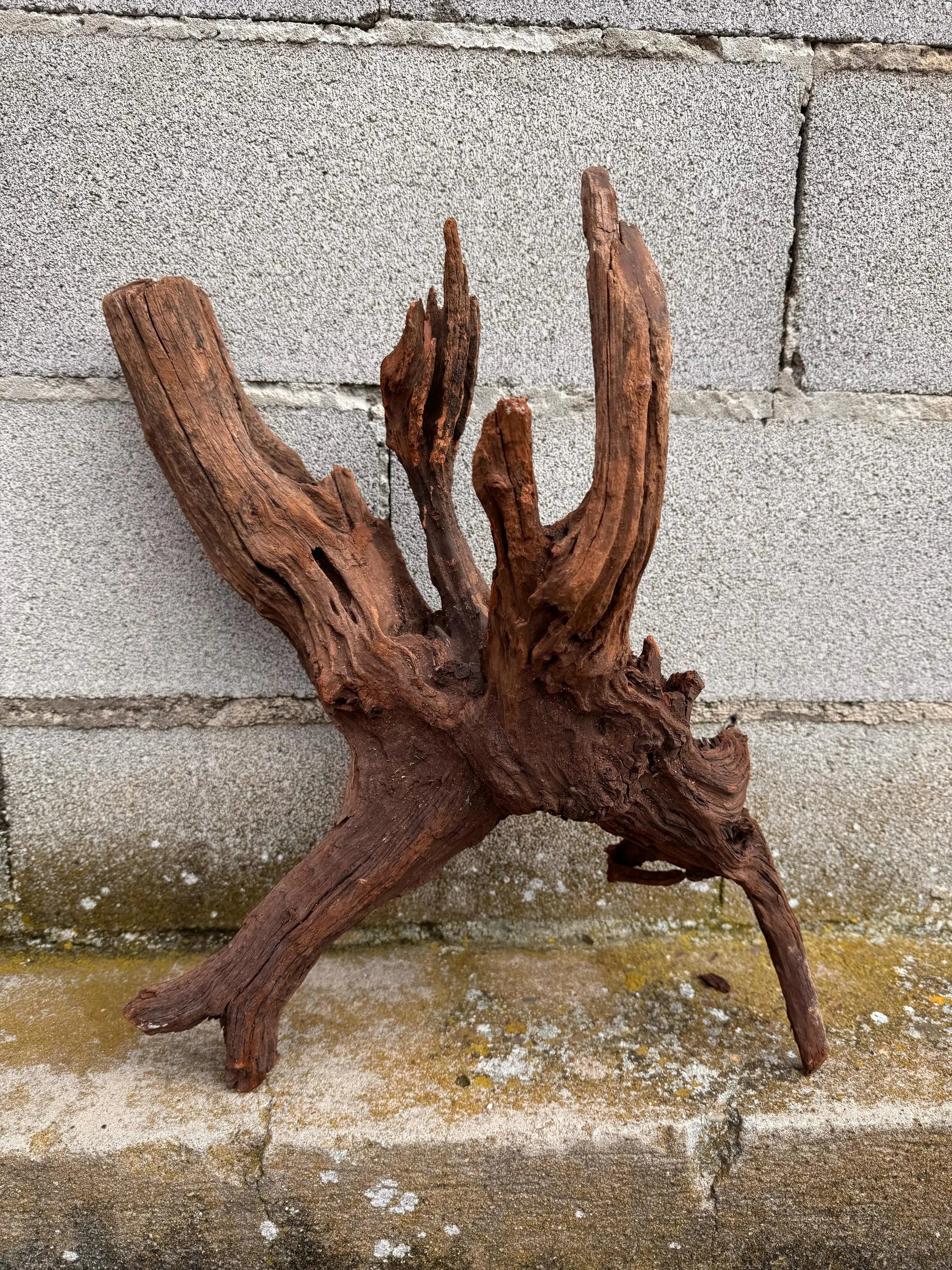 Drift Wood - 57*24*39 - cod.030 AQPET