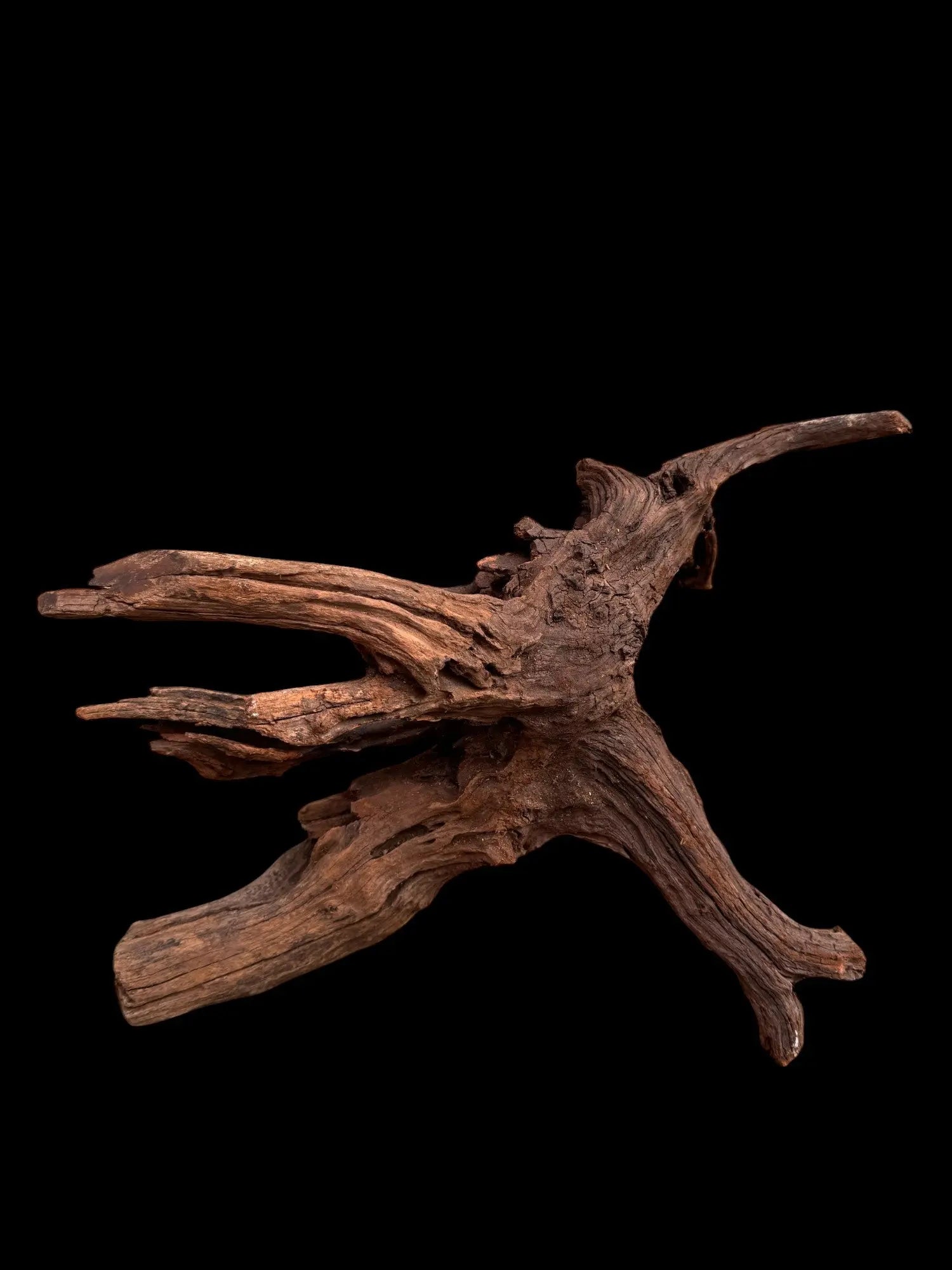 Drift Wood - 57*24*39 - cod.030 AQPET
