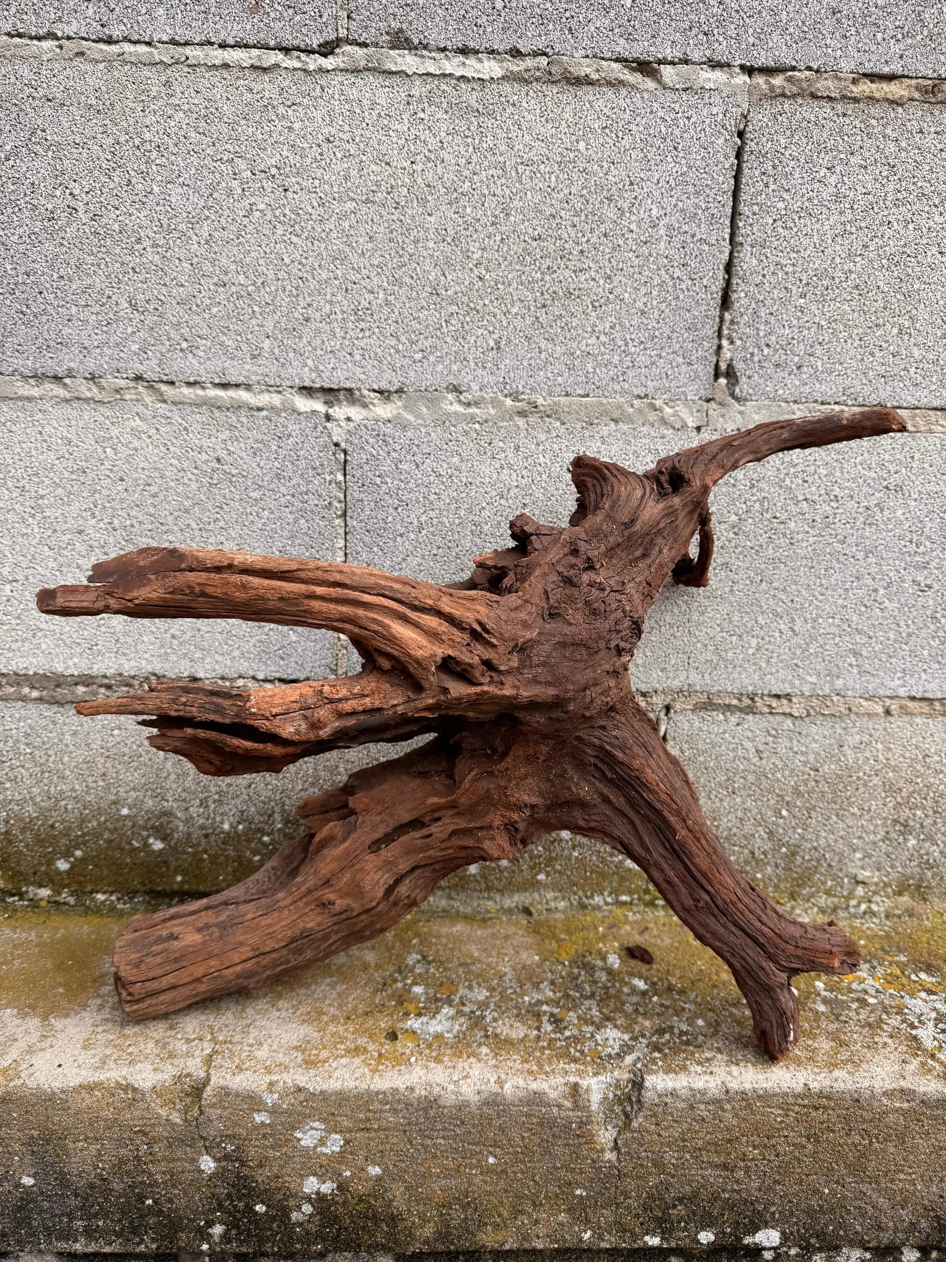 Drift Wood - 57*24*39 - cod.030 AQPET