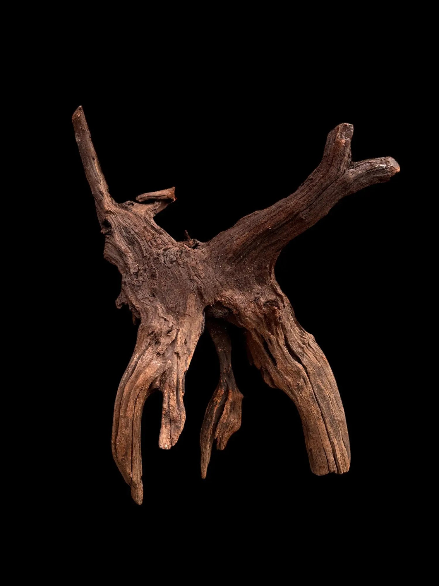 Drift Wood - 57*24*39 - cod.030 AQPET