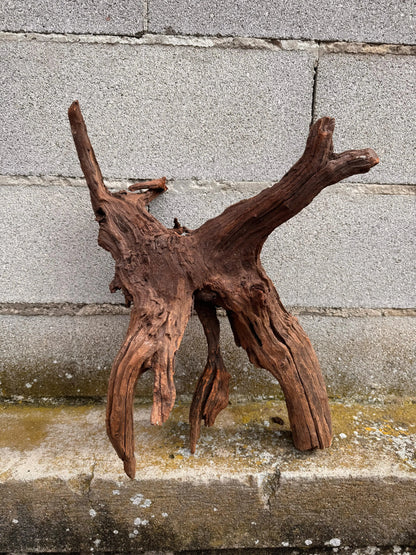 Drift Wood - 57*24*39 - cod.030 AQPET