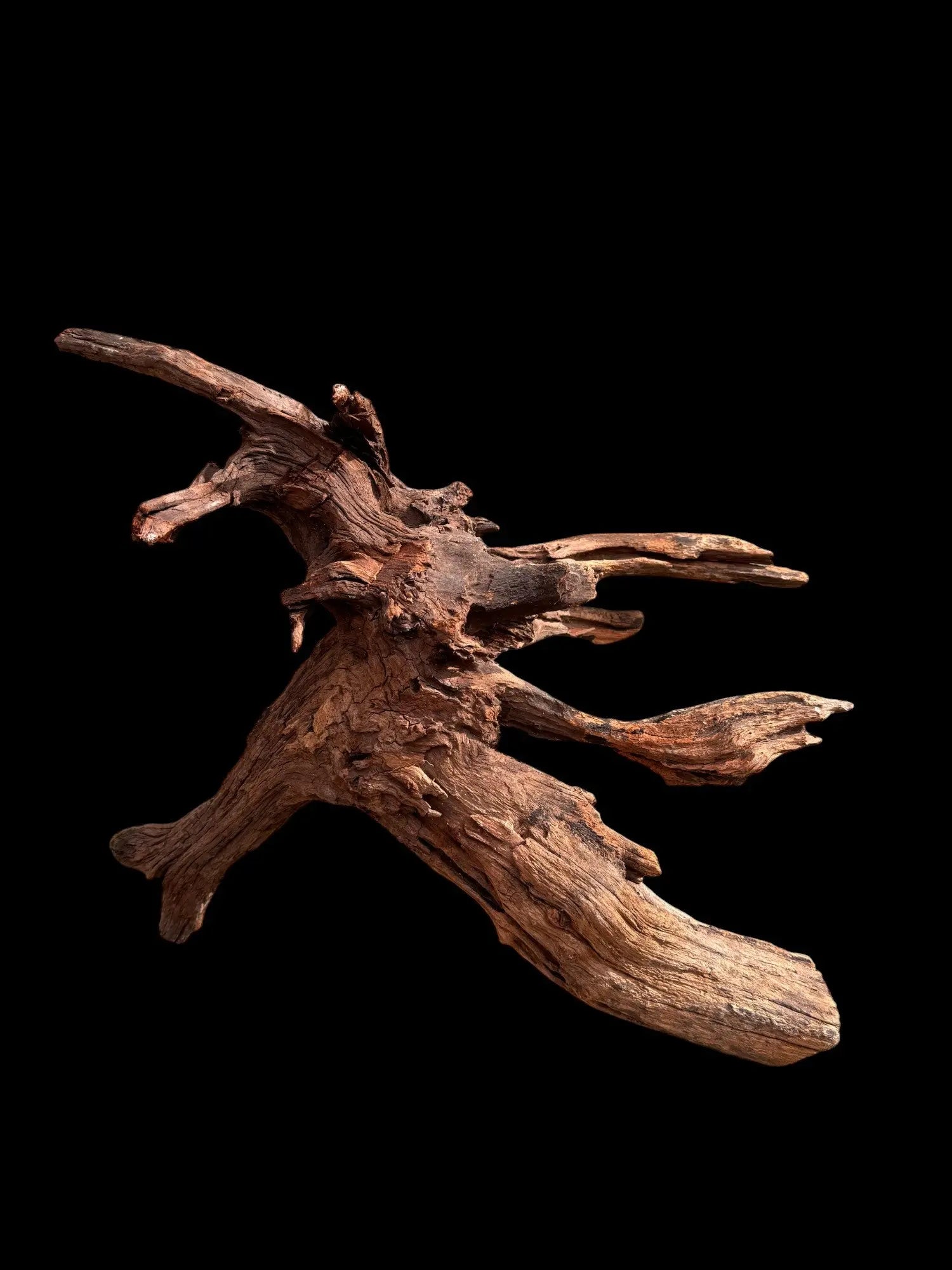 Drift Wood - 57*24*39 - cod.030 AQPET