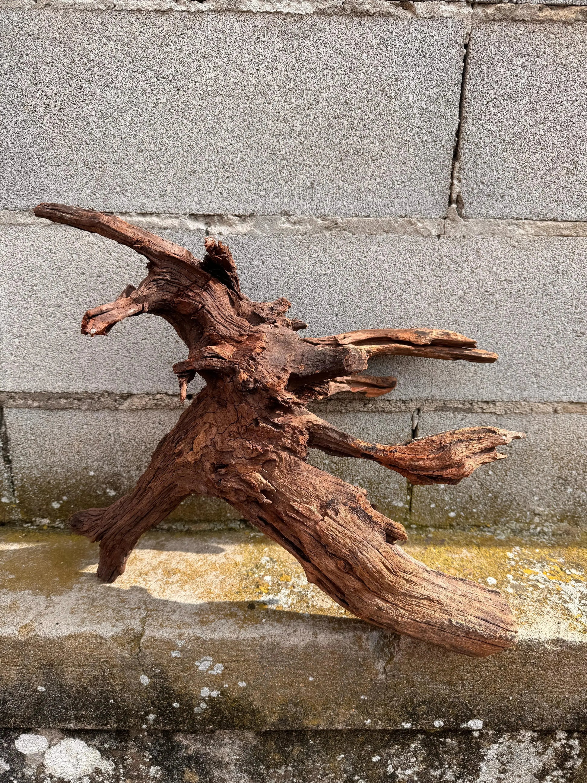 Drift Wood - 57*24*39 - cod.030 AQPET
