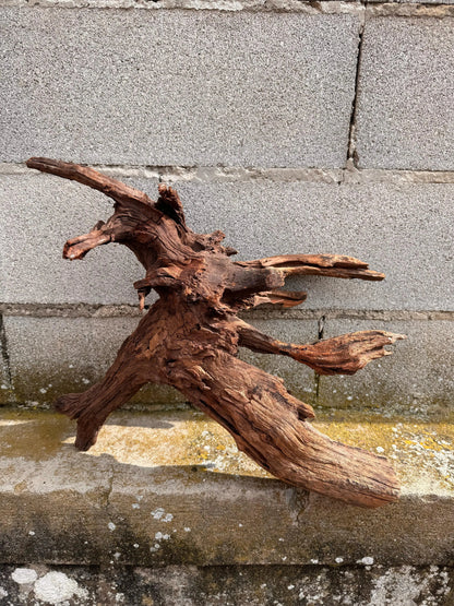 Drift Wood - 57*24*39 - cod.030 AQPET