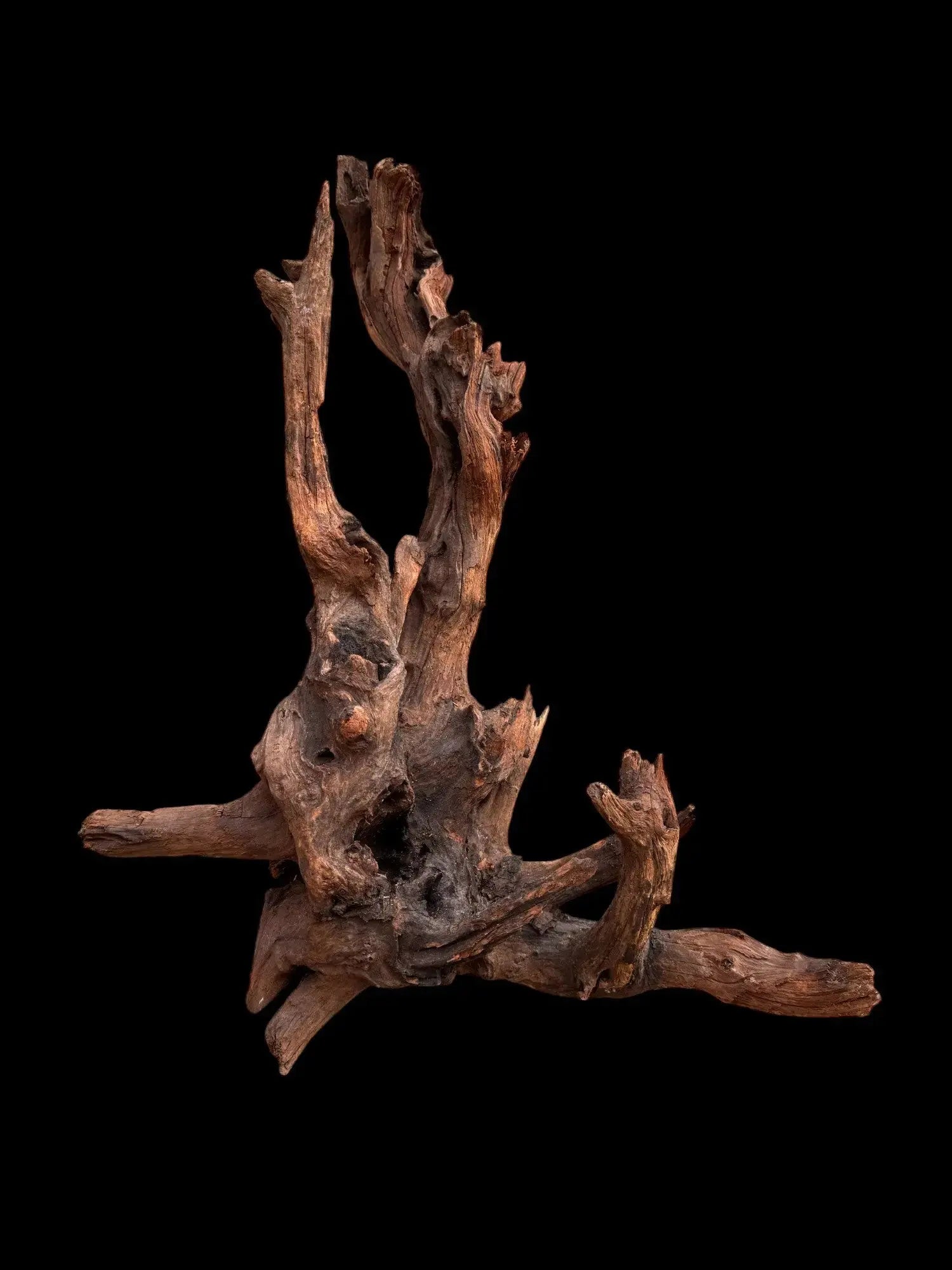Drift Wood - 47*30*60 - cod.031 AQPET