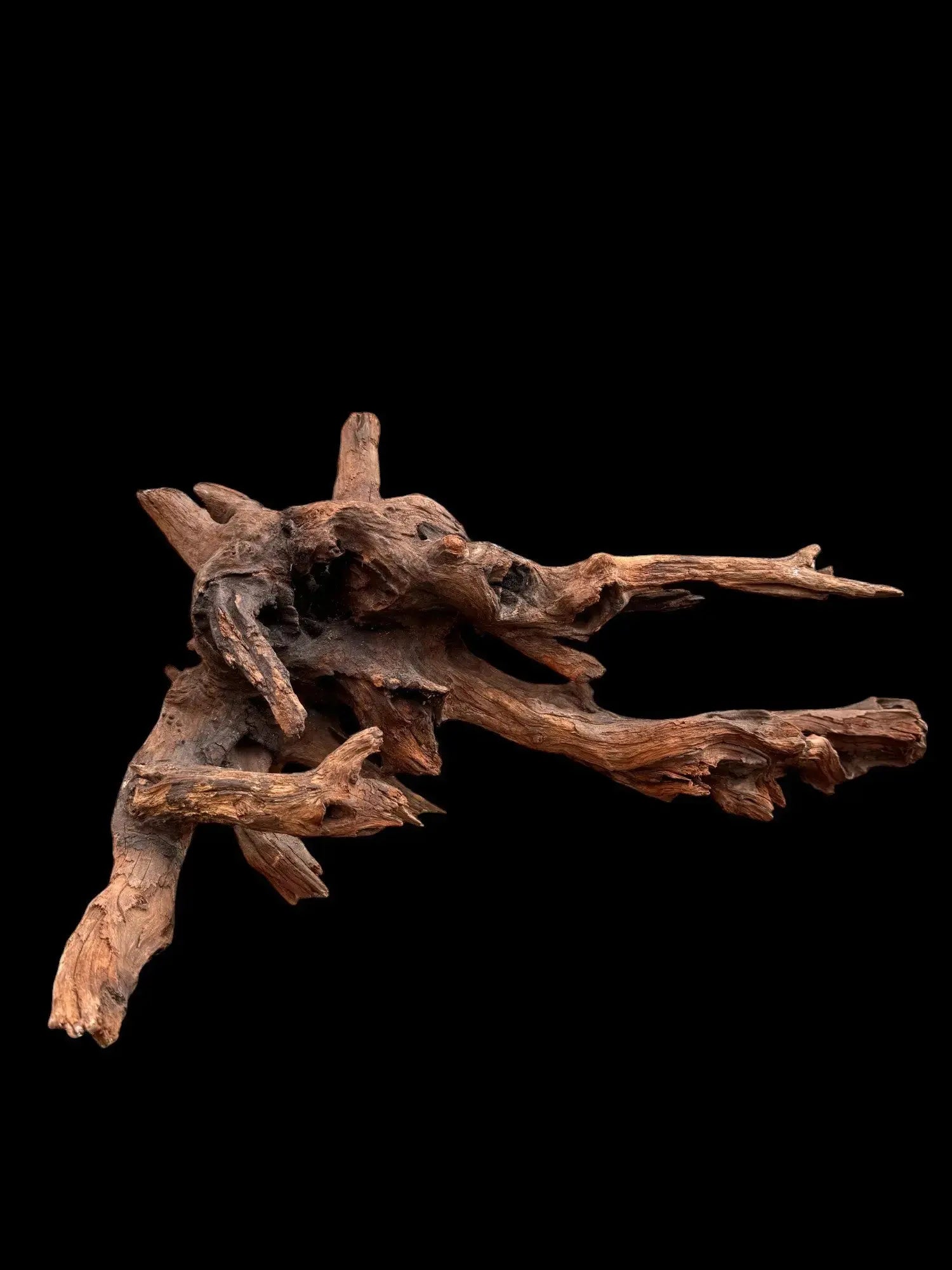 Drift Wood - 47*30*60 - cod.031 AQPET