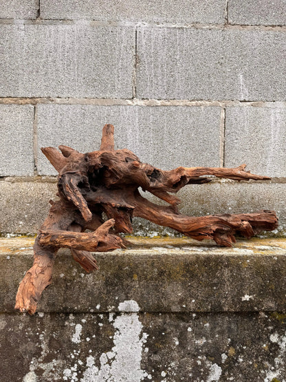 Drift Wood - 47*30*60 - cod.031 AQPET
