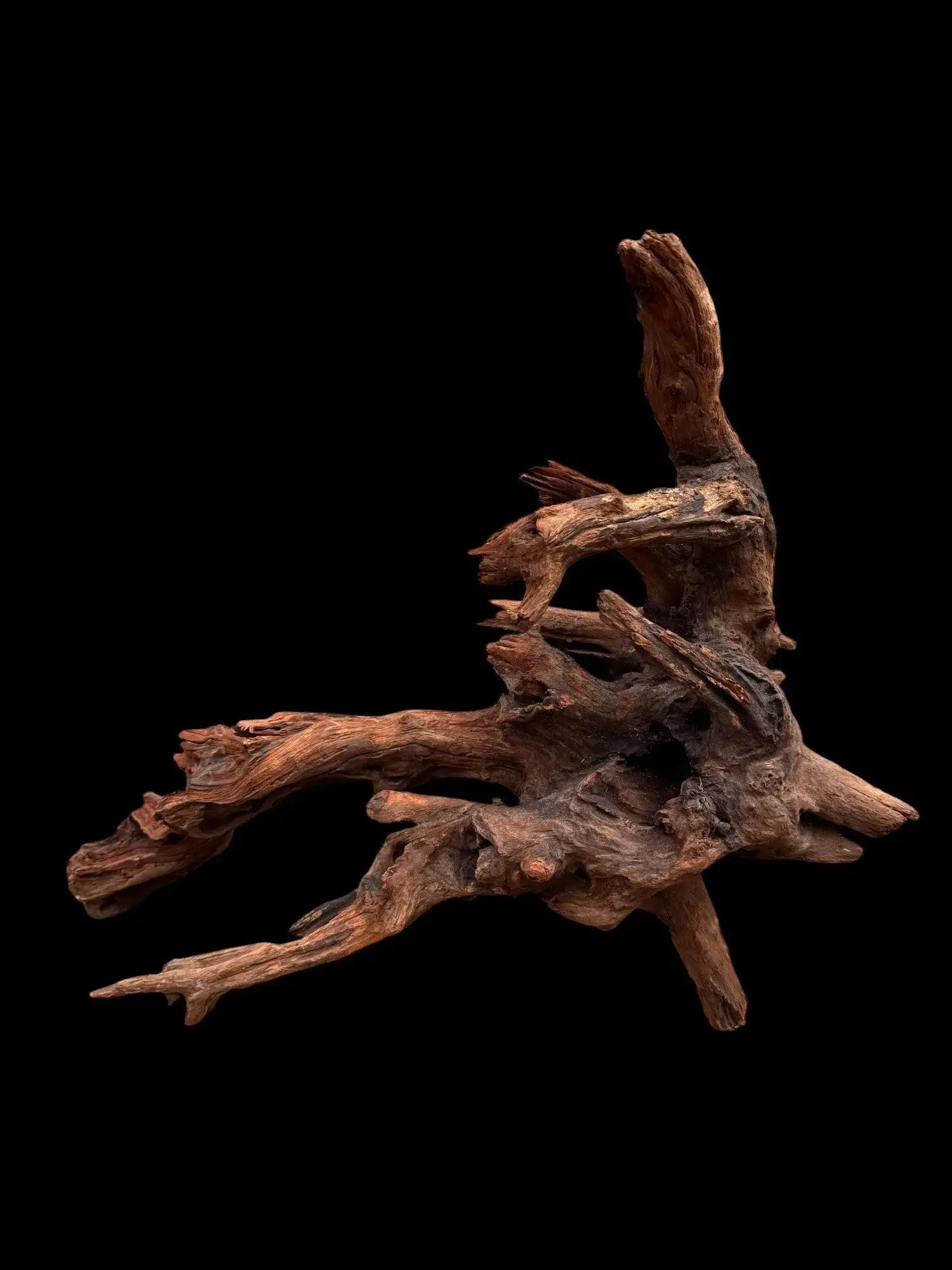 Drift Wood - 47*30*60 - cod.031 AQPET