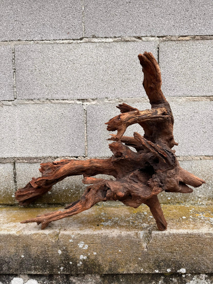 Drift Wood - 47*30*60 - cod.031 AQPET