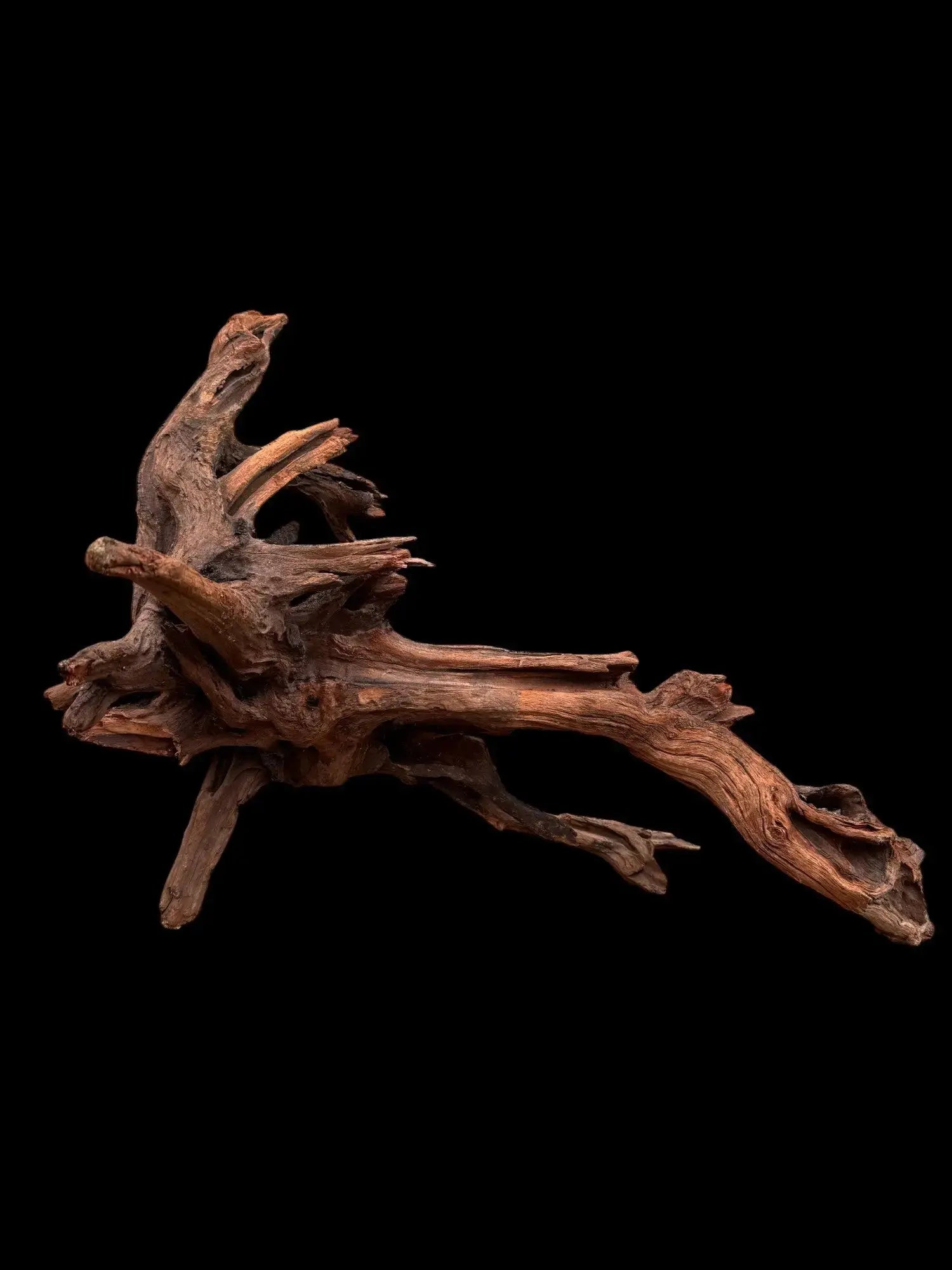 Drift Wood - 47*30*60 - cod.031 AQPET
