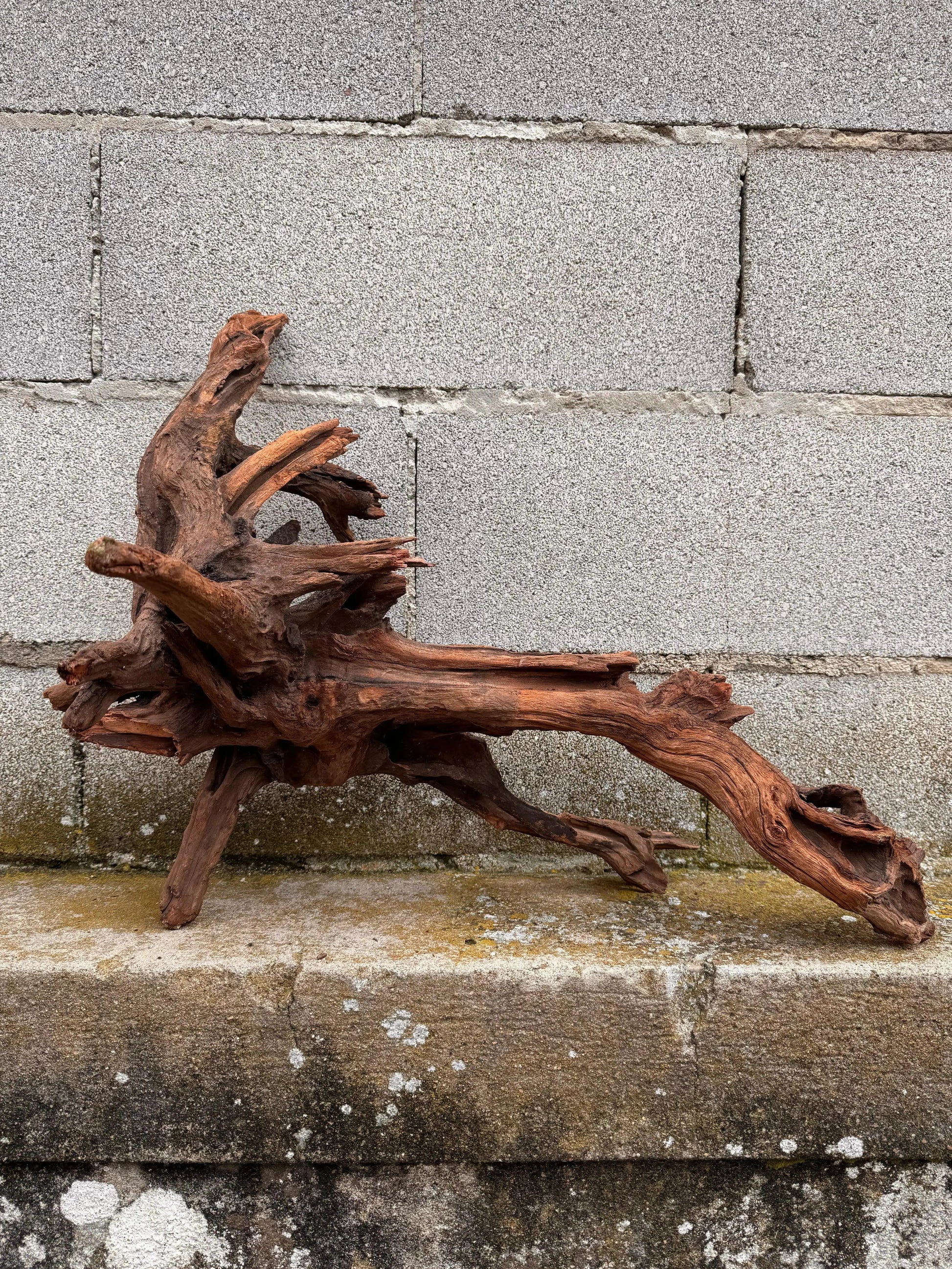 Drift Wood - 47*30*60 - cod.031 AQPET