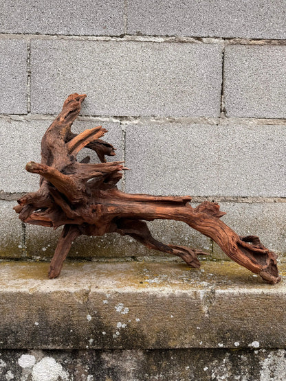 Drift Wood - 47*30*60 - cod.031 AQPET