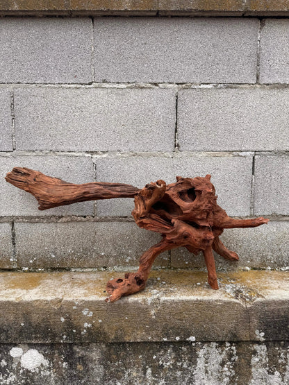 Drift Wood - 75*21*34 - cod.034 AQPET