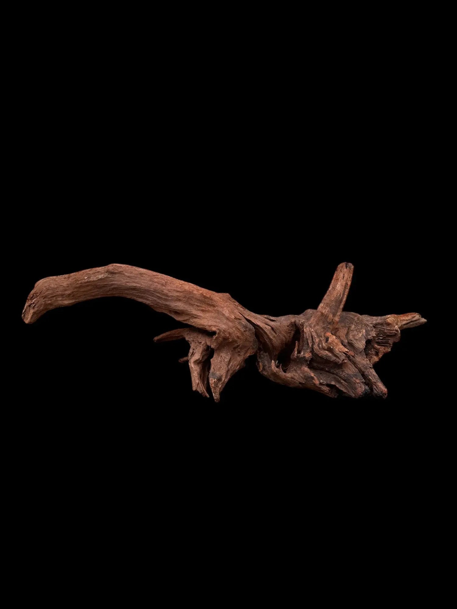 Drift Wood - 79*23*20 - cod.035 AQPET