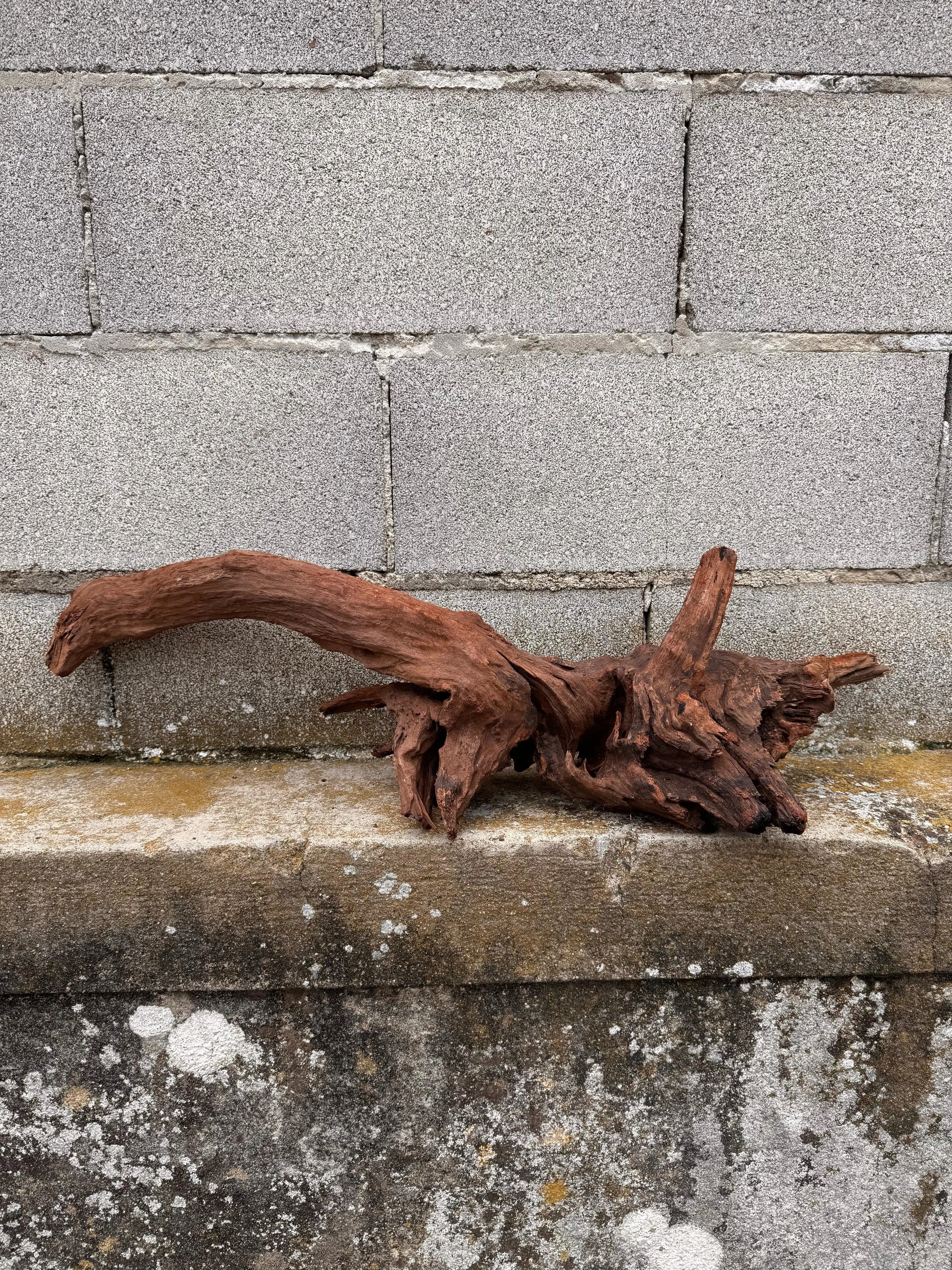 Drift Wood - 79*23*20 - cod.035 AQPET