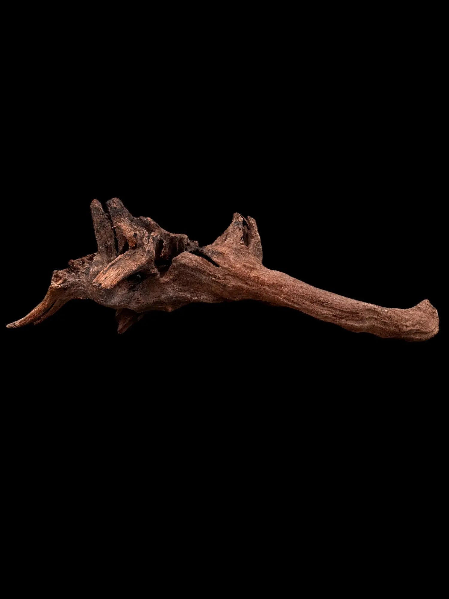 Drift Wood - 79*23*20 - cod.035 AQPET