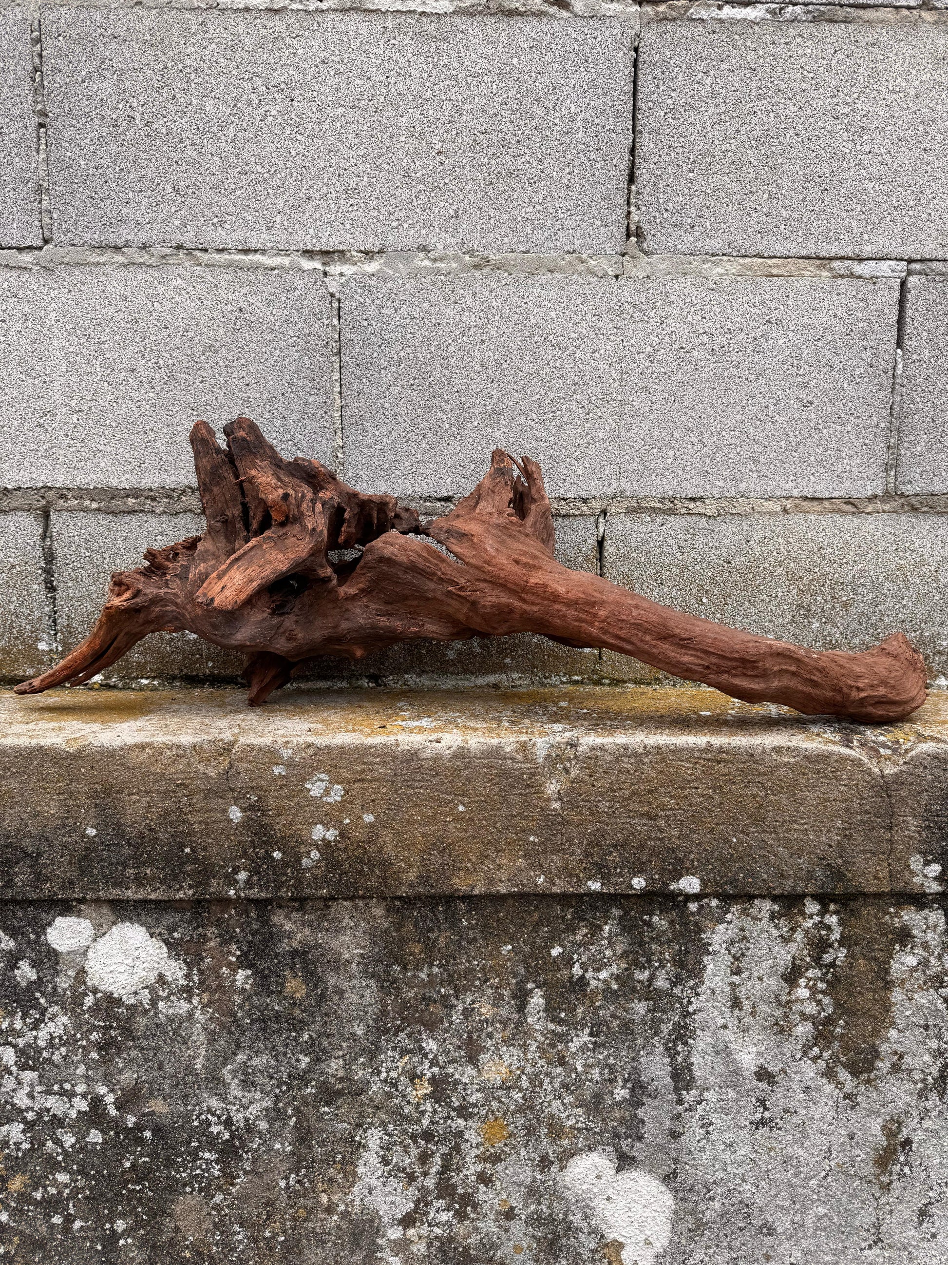 Drift Wood - 53*26*57 - cod.036 AQPET