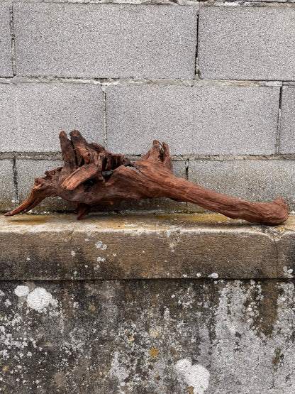 Drift Wood - 53*26*57 - cod.036 AQPET